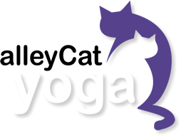 Alley Cat Yoga