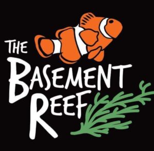 The Basement Reef